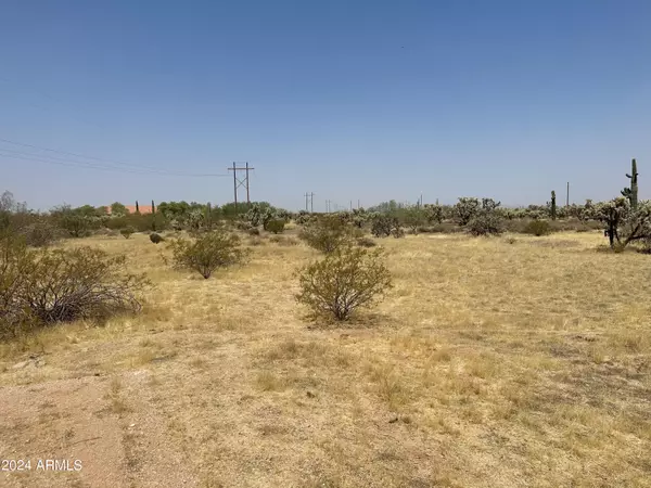 Florence, AZ 85132,0 S Dolores Road #2