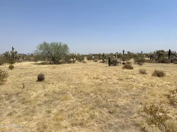 Florence, AZ 85132,0 S Dolores Road #2