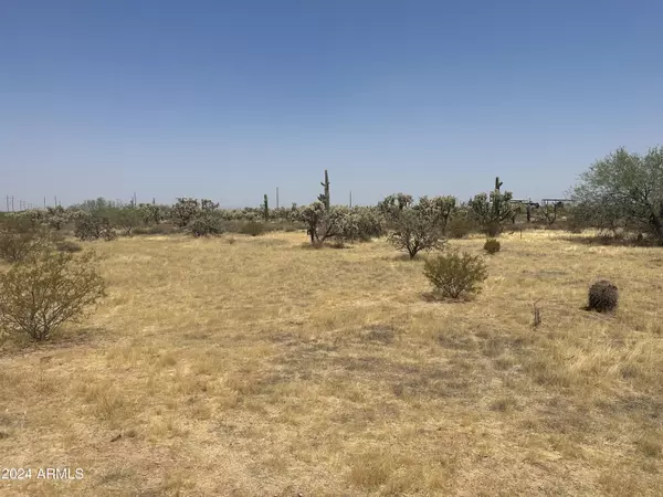 Florence, AZ 85132,0 S Dolores Road #4