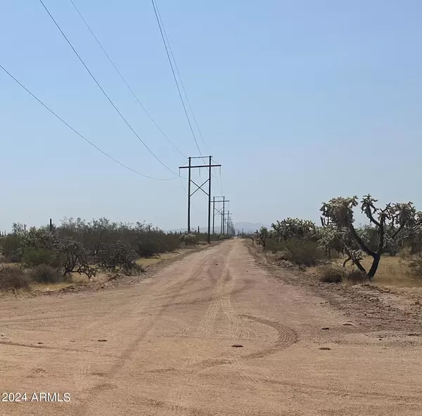 Florence, AZ 85132,0 S Dolores Road #4