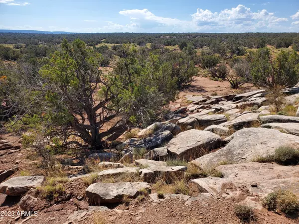 Snowflake, AZ 85937,8709 NUTT Lane #-
