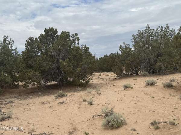 St Johns, AZ 85936,78 Witch Well Ranches -- #78