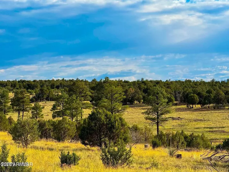 Flake Rd 5.04 Acres -- #-, Aripine, AZ 85933