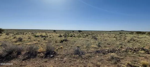 Williams, AZ 86046,6232 S PRAIRIE GRASS Lane #294