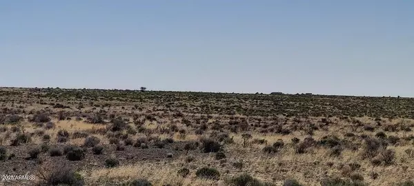 Williams, AZ 86046,6232 S PRAIRIE GRASS Lane #294