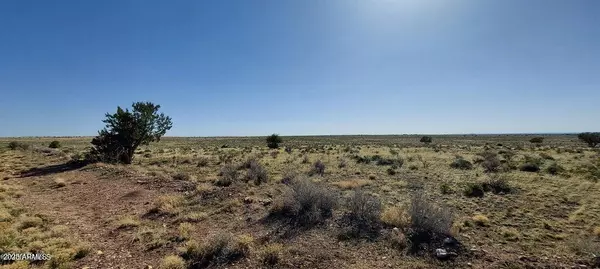 Williams, AZ 86046,6232 S PRAIRIE GRASS Lane #294