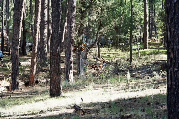 Payson, AZ 85541,196 W Mockingbird Lane #Parcel 2