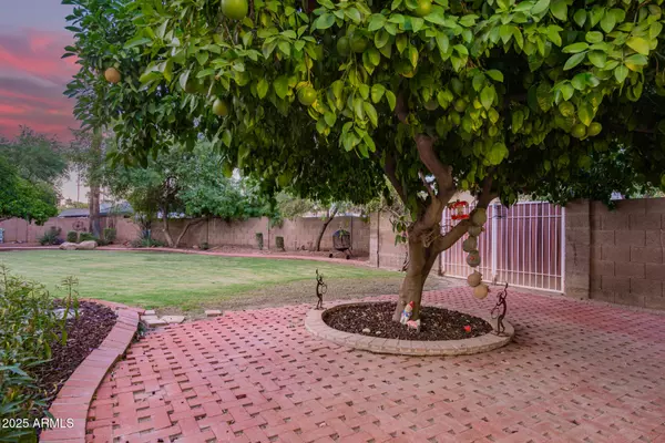 Litchfield Park, AZ 85340,340 ANCORA Drive N
