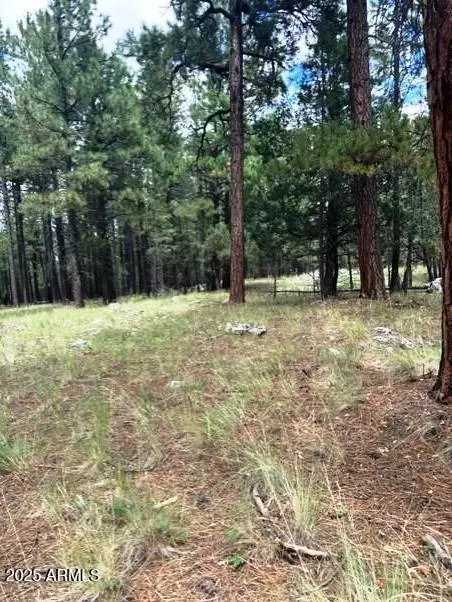 Happy Jack, AZ 86024,5131 Forest Service Road 137A Road #Prcl40375003B A & B