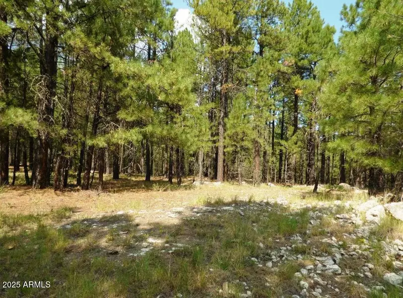 5131 Forest Service Road 137A Road #Prcl40375003B A & B, Happy Jack, AZ 86024