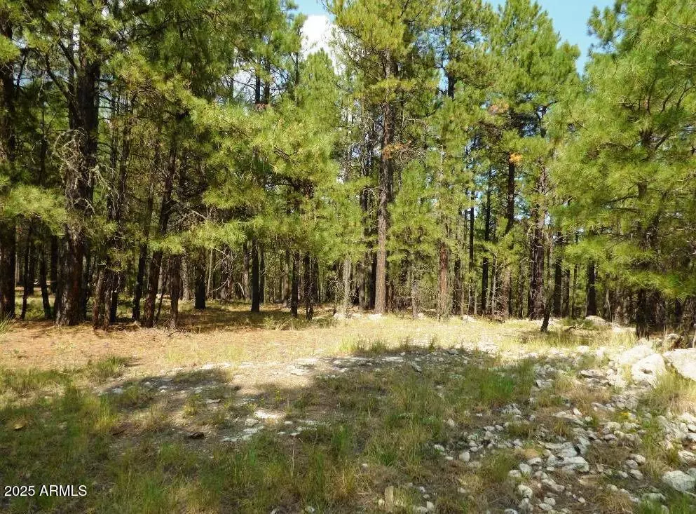 Happy Jack, AZ 86024,5131 Forest Service Road 137A Road #Prcl40375003B A & B