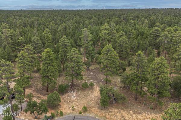 2961 Eagle Ridge Circle #118, Happy Jack, AZ 86024