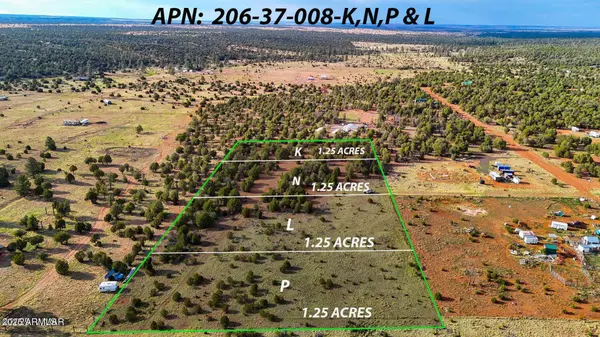 Aripine, AZ 85933,Flake Rd Lots L & P 2.54 Acres -- #-