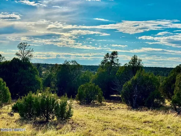 Aripine, AZ 85933,Flake Rd Lots L & P 2.54 Acres -- #-