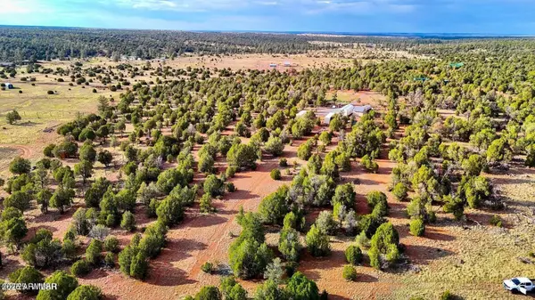Aripine, AZ 85933,Flake Rd Lots N & K 2.54 Acres -- #-