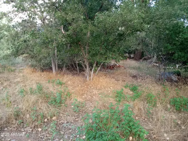 3077 S WAGNER Drive #529, Camp Verde, AZ 86322
