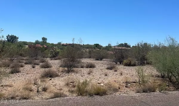 Wickenburg, AZ 85390,50835 N THRASHER Lane #47