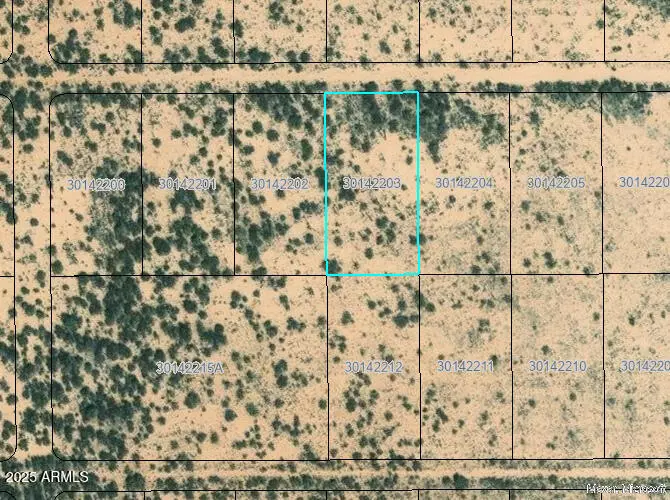 Bowie, AZ 85605,1401 E Tamarack Road #-