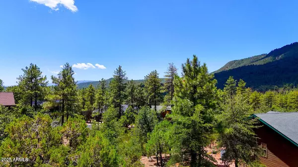 Pine, AZ 85544,0 DRUMECHO CIR LOT 12 -- #12