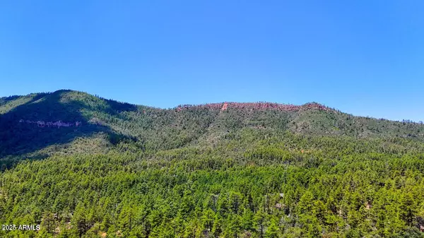 Pine, AZ 85544,0 DRUMECHO CIR LOT 12 -- #12