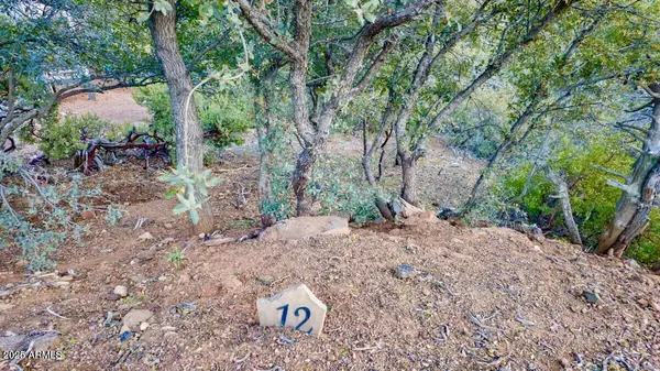 Pine, AZ 85544,0 DRUMECHO CIR LOT 12 -- #12