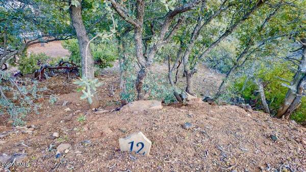 Pine, AZ 85544,0 DRUMECHO CIR LOT 12 -- #12