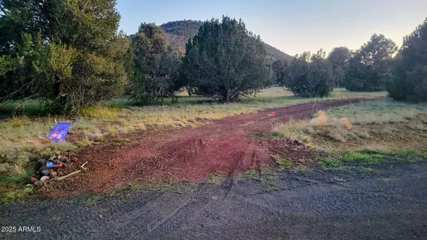 Williams, AZ 86046,7432 DAISY Drive #13