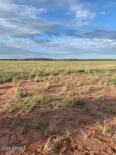 45 ACRES -- #28, St Johns, AZ 85936