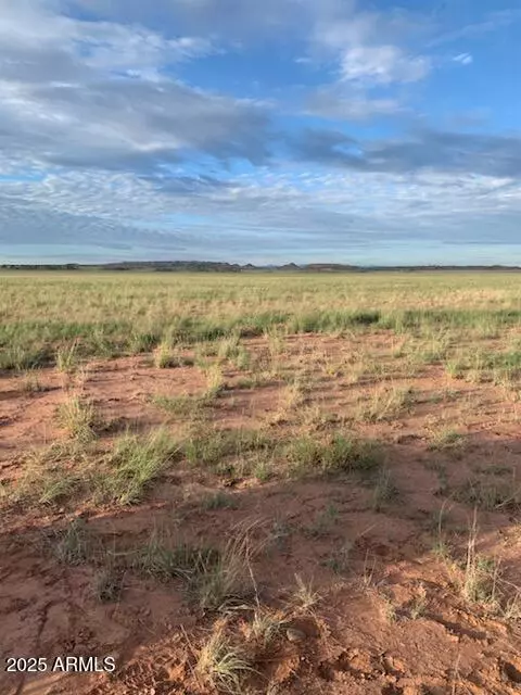 St Johns, AZ 85936,45 ACRES -- #28