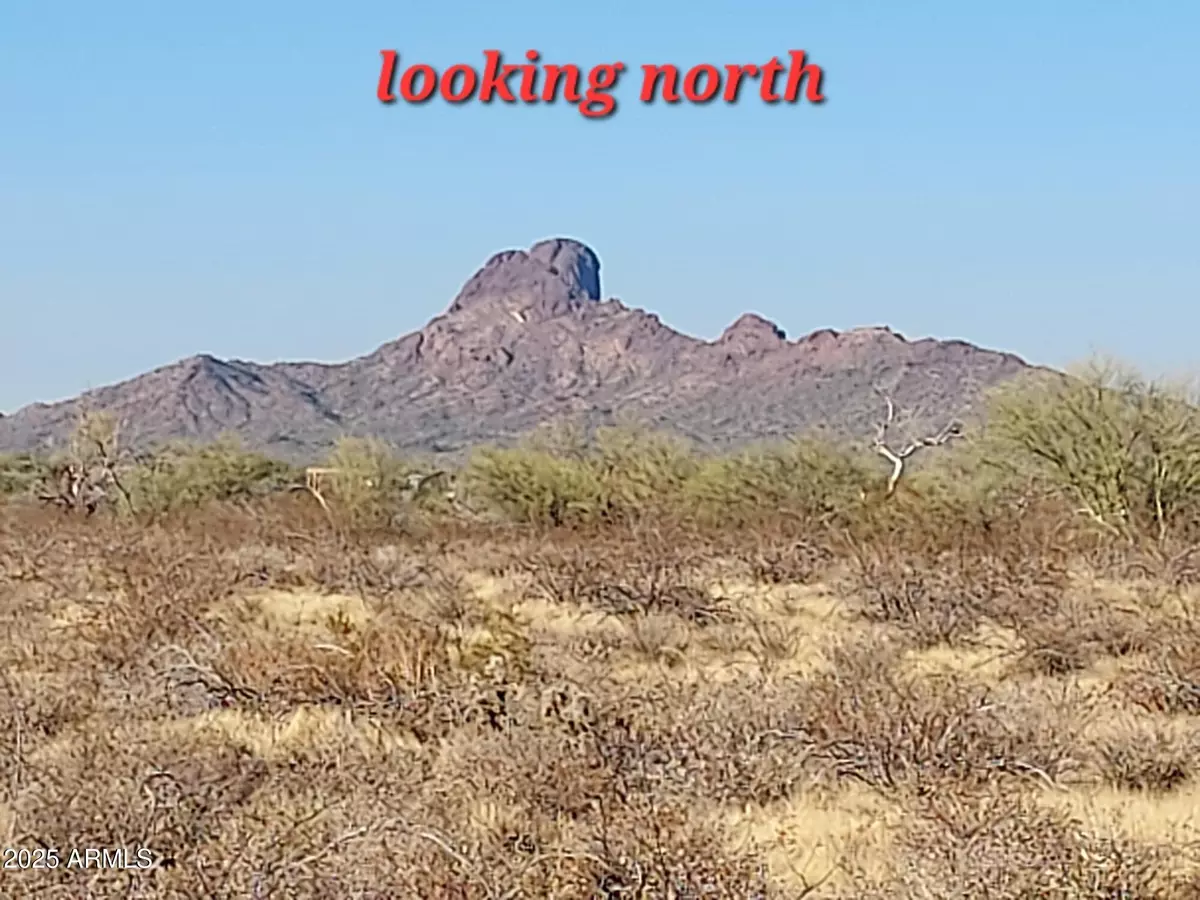 Wittmann, AZ 85361,0 W Villa Cassandra Way #203
