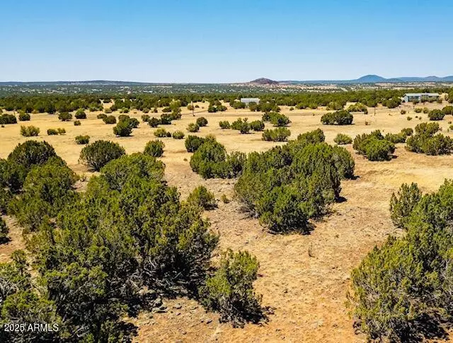 Show Low, AZ 85901,8692 SUPANCHECK Road #45