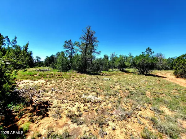 Happy Jack, AZ 86024,8571 HAVEN CREST Drive #229