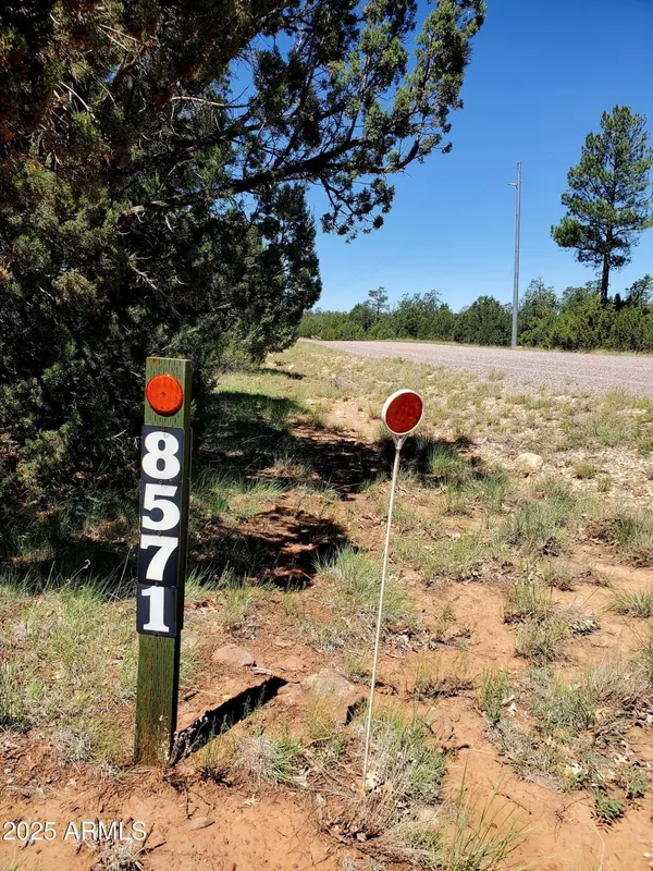 Happy Jack, AZ 86024,8571 HAVEN CREST Drive #229