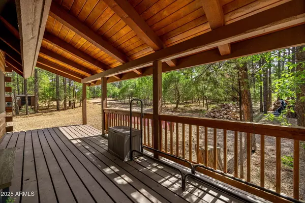 Overgaard, AZ 85933,2032 PONDEROSA Trail