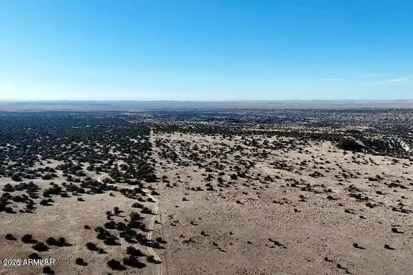 St Johns, AZ 85936,Cedar Hills 104.79 Acres -- #-