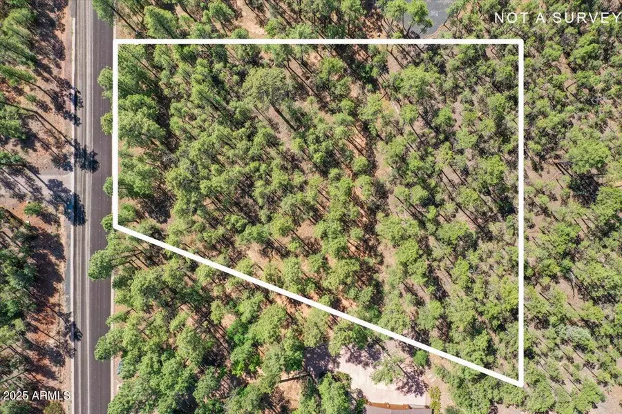 2280 S BRISTLECONE Drive #341, Show Low, AZ 85901