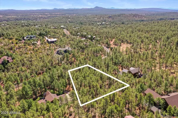 Show Low, AZ 85901,2280 S BRISTLECONE Drive #341