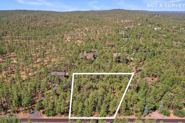 Show Low, AZ 85901,2280 S BRISTLECONE Drive #341