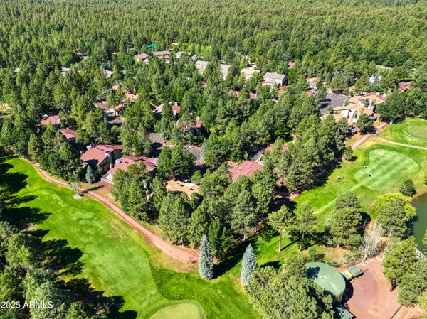 Pinetop, AZ 85935,3651 Crown Dancer Drive #8A