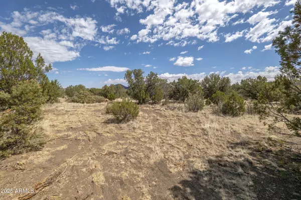 Flagstaff, AZ 86004,1 LOT A Stockmens -- #-