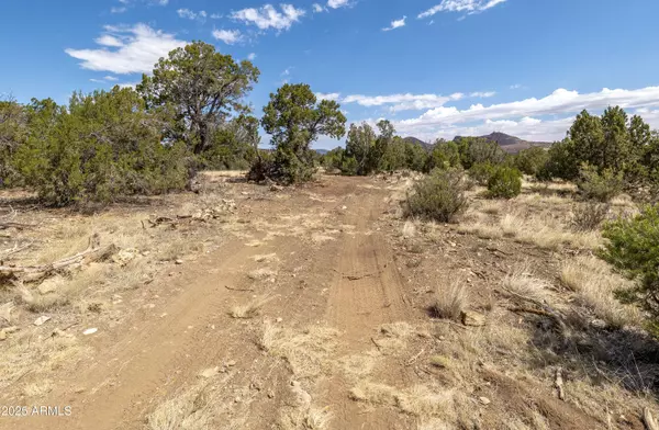 Flagstaff, AZ 86004,1 LOT B Stockmens -- #-