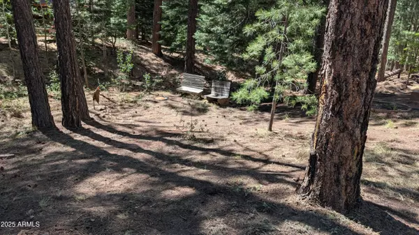 Forest Lakes, AZ 85931,2117 JOE SPRINGS Drive #501