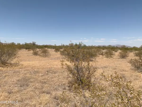 Maricopa, AZ 85139,1 W Whirly Bird Lot 5 Road #-