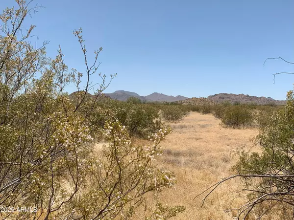 1 W Whirly Bird Lot 4 Road #-, Maricopa, AZ 85139