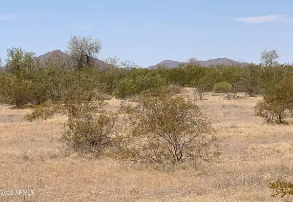 Maricopa, AZ 85139,1 W Whirly Bird Lot 4 Road #-
