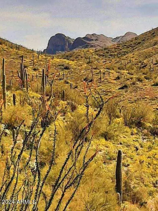 Queen Valley, AZ 85118,0 E Hardt Tank Road #004L Also known as B