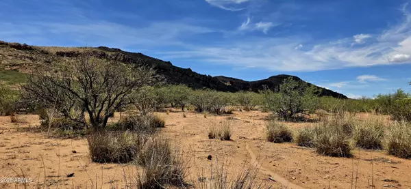 Douglas, AZ 85607,N Bruno Road #-
