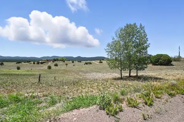 Young, AZ 85554,17 W Baker Ranch Road #17B