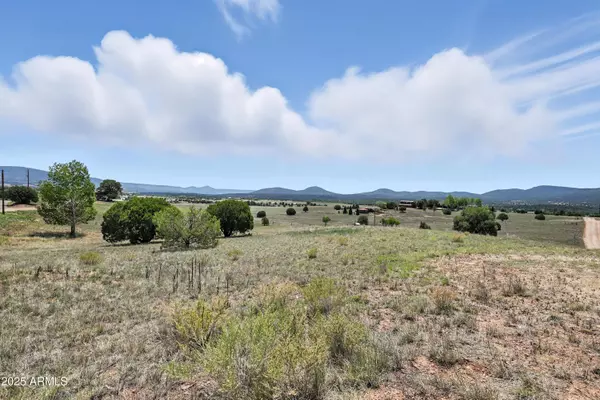 Young, AZ 85554,17 W Baker Ranch Road #17B