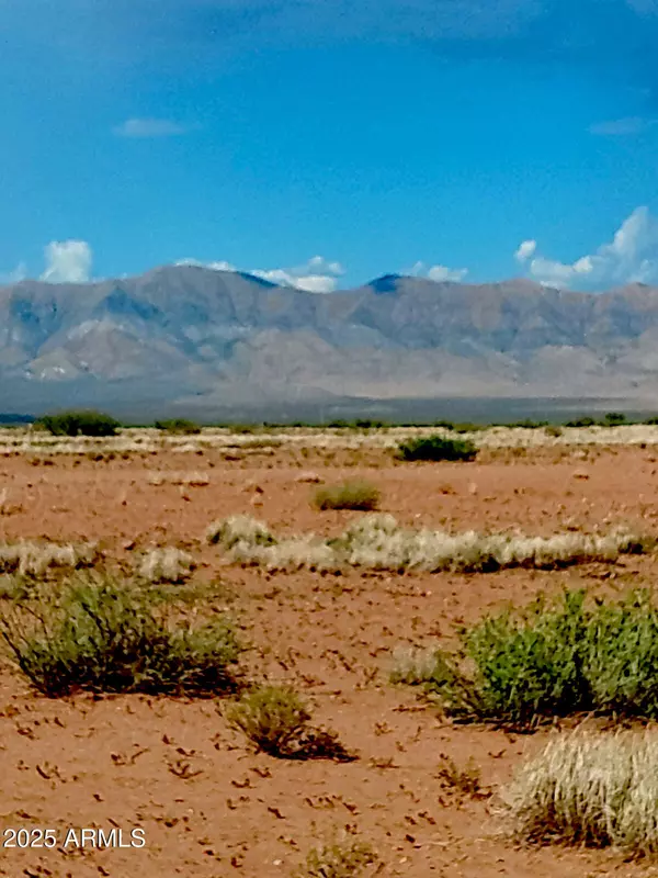 Mcneal, AZ 85617,N EE Ranch lot 2 of 2 Road #2 of 2